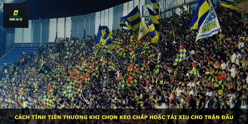 Cách tính tiền thưởng khi chọn kèo chấp hoặc tài xỉu cho trận đấu