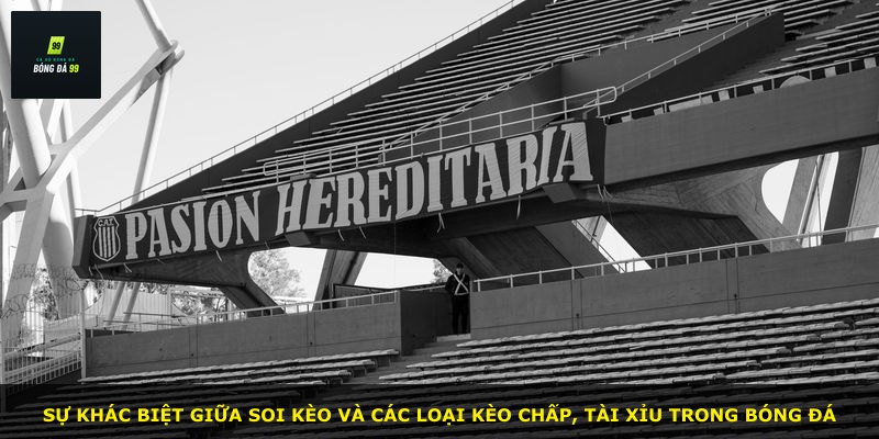 Sự khác biệt giữa soi kèo và các loại kèo chấp, tài xỉu trong bóng đá