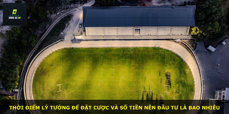 Thời điểm lý tưởng để đặt cược và số tiền nên đầu tư là bao nhiêu