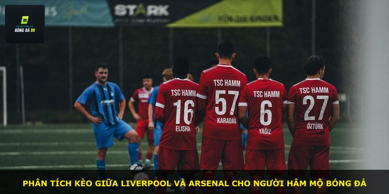 Phân tích kèo giữa Liverpool và Arsenal cho người hâm mộ bóng đá