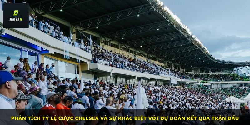 Phân tích tỷ lệ cược Chelsea và sự khác biệt với dự đoán kết quả trận đấu