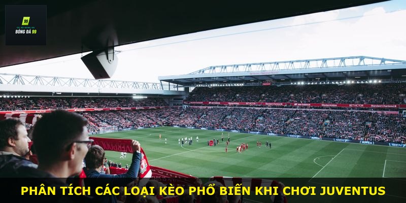 Phân tích các loại kèo phổ biến khi chơi Juventus