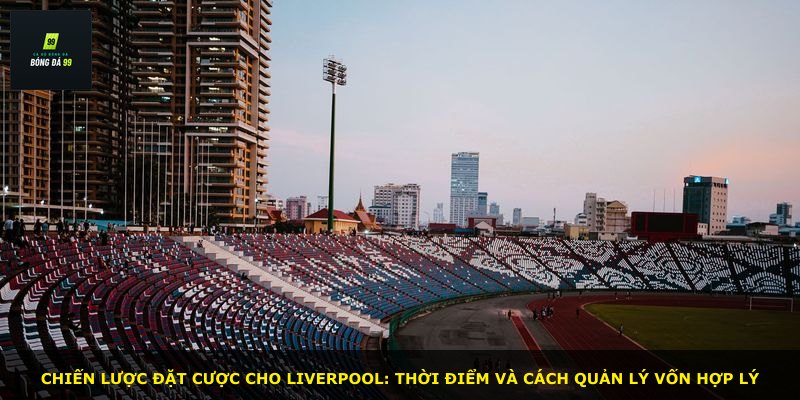 Chiến lược đặt cược cho Liverpool: thời điểm và cách quản lý vốn hợp lý