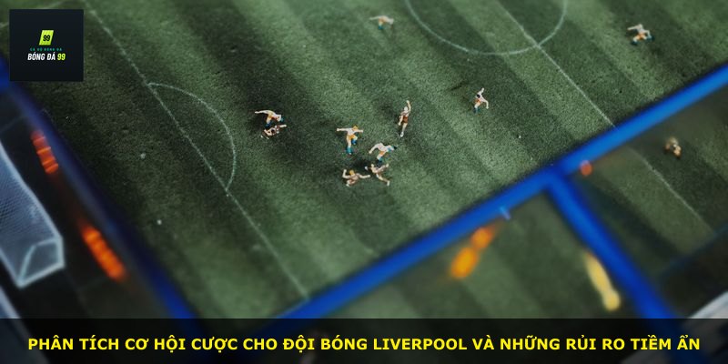 Phân tích cơ hội cược cho đội bóng Liverpool và những rủi ro tiềm ẩn