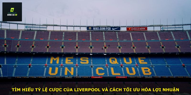 Tìm hiểu tỷ lệ cược của Liverpool và cách tối ưu hóa lợi nhuận