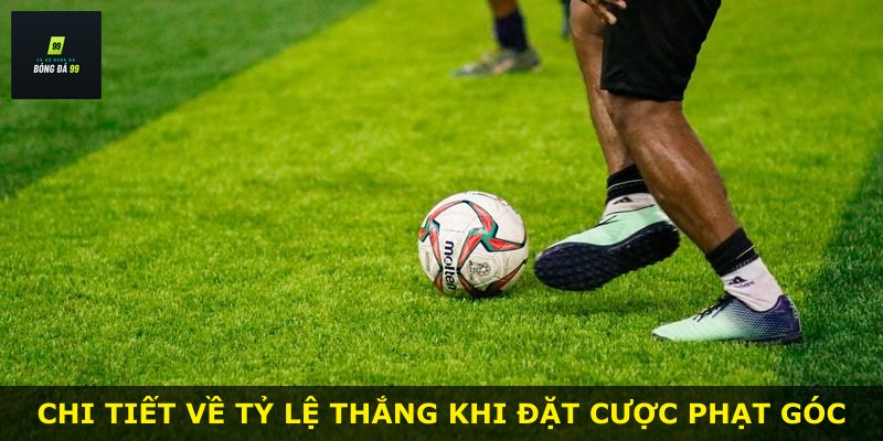 Chi tiết về tỷ lệ thắng khi đặt cược phạt góc