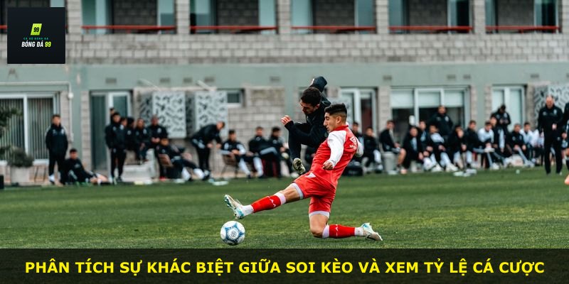 Phân tích sự khác biệt giữa soi kèo và xem tỷ lệ cá cược