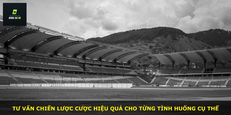 Tư vấn chiến lược cược hiệu quả cho từng tình huống cụ thể