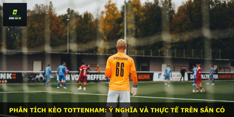 Phân tích kèo Tottenham: ý nghĩa và thực tế trên sân cỏ