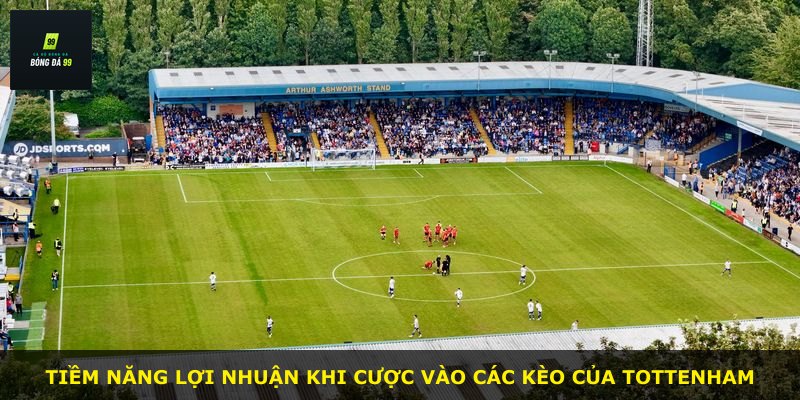 Tiềm năng lợi nhuận khi cược vào các kèo của Tottenham