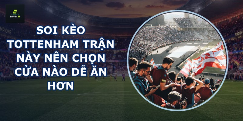 Soi kèo Tottenham