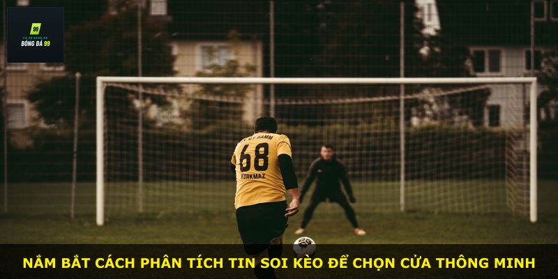 Nắm bắt cách phân tích tin soi kèo để chọn cửa thông minh