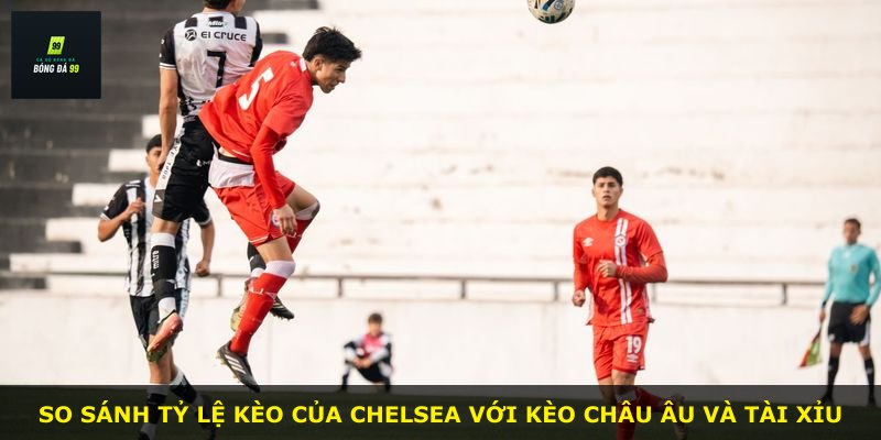 So sánh tỷ lệ kèo của Chelsea với kèo châu Âu và tài xỉu