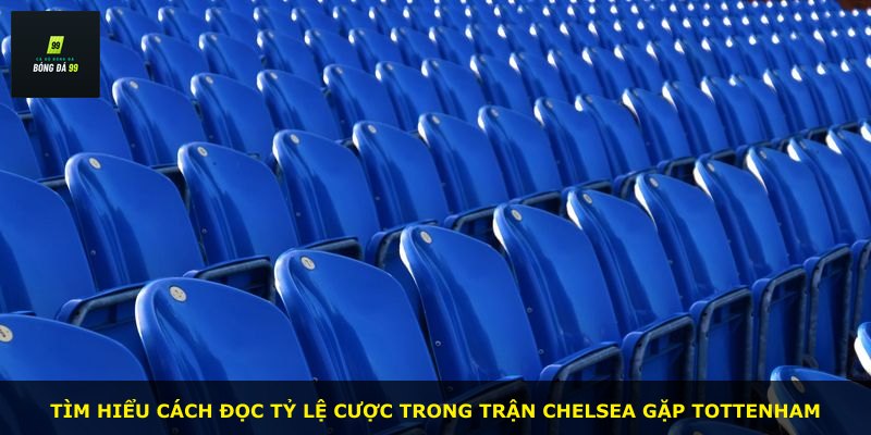 Tìm hiểu cách đọc tỷ lệ cược trong trận Chelsea gặp Tottenham