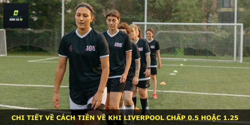 Chi tiết về cách tiền về khi Liverpool chấp 0.5 hoặc 1.25