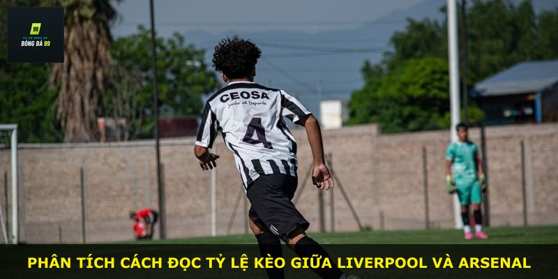 Phân tích cách đọc tỷ lệ kèo giữa Liverpool và Arsenal