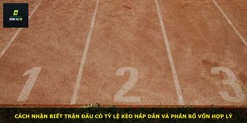 Cách nhận biết trận đấu có tỷ lệ kèo hấp dẫn và phân bổ vốn hợp lý